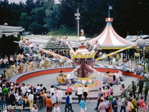 Photo of Dumbo