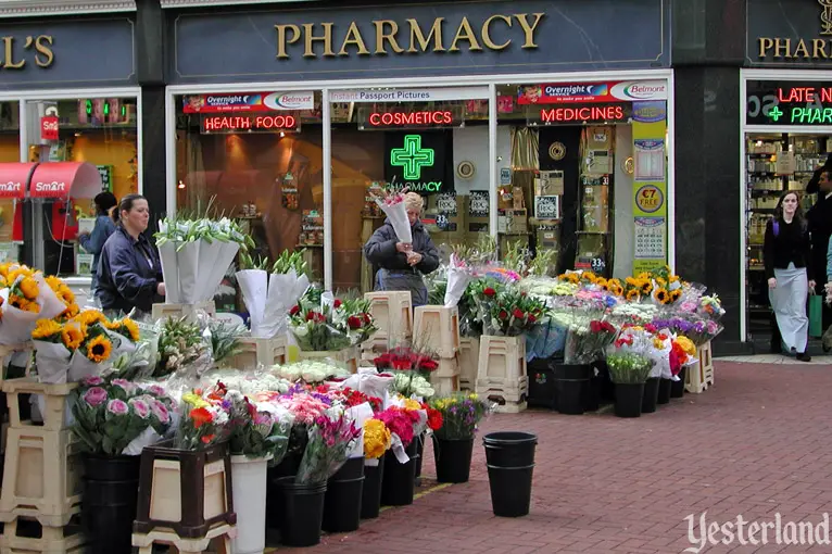 An outdoor flower market in Dublin, Ireland