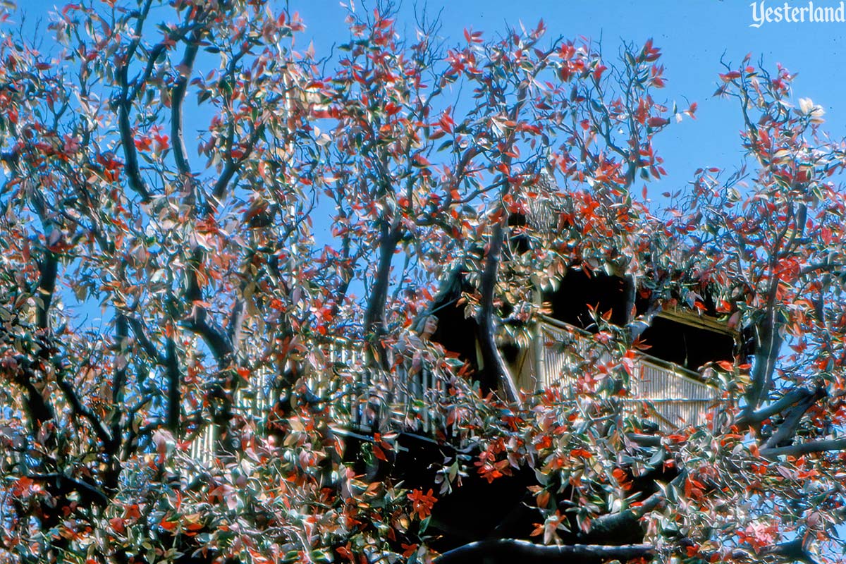 Swiss Family Treehouse, Disneyland