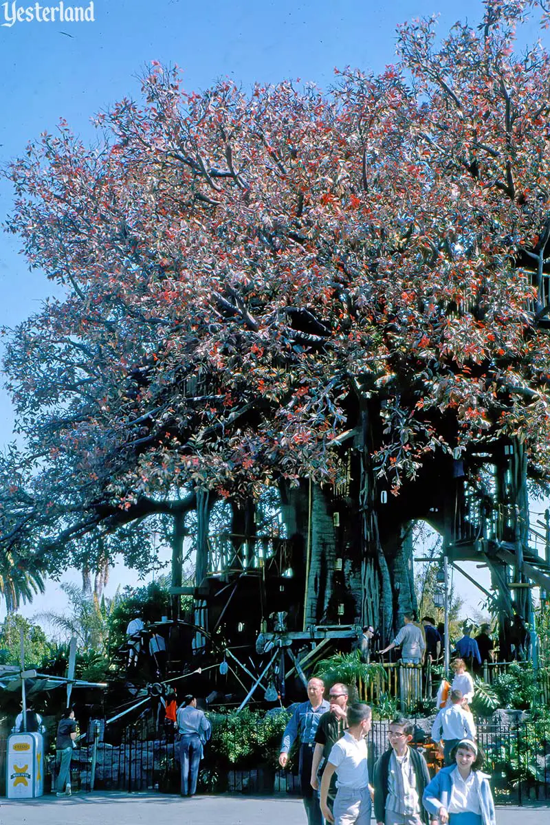 Swiss Family Treehouse, Disneyland