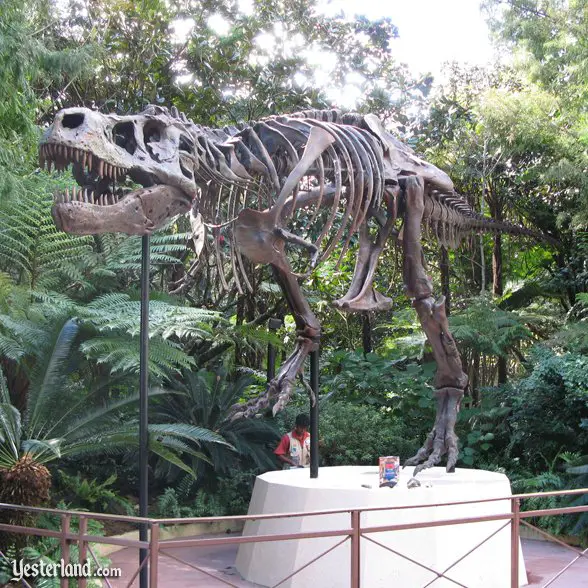 Skeleton of Sue, the T-rex (exact replica): 2007 by Werner Weiss.