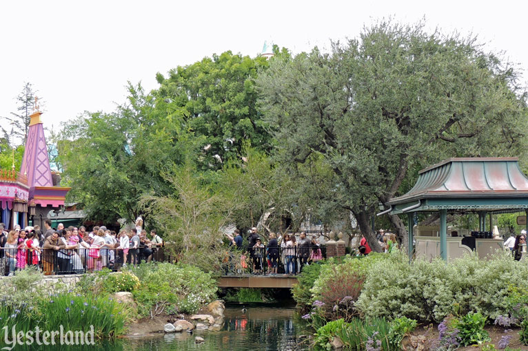 Disneyland Then & Now, 2015 photo