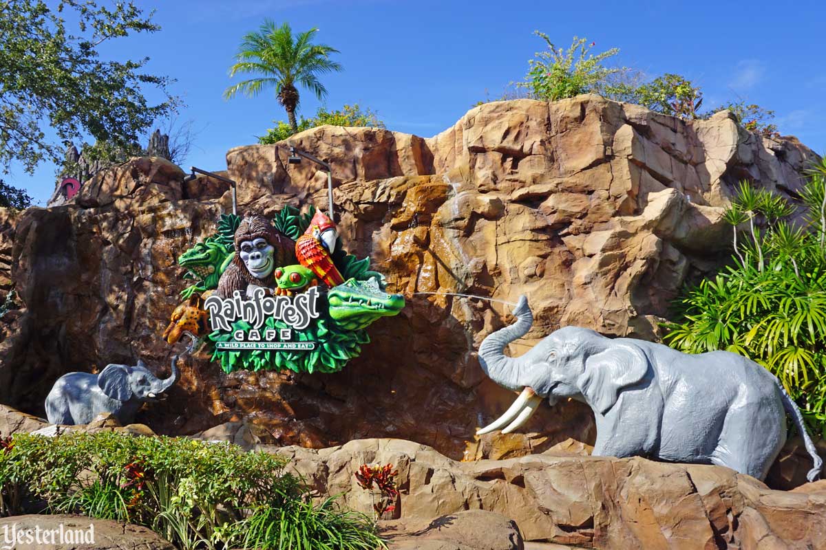 Rainforest Cafe at the Disney Springs, Walt Disney World