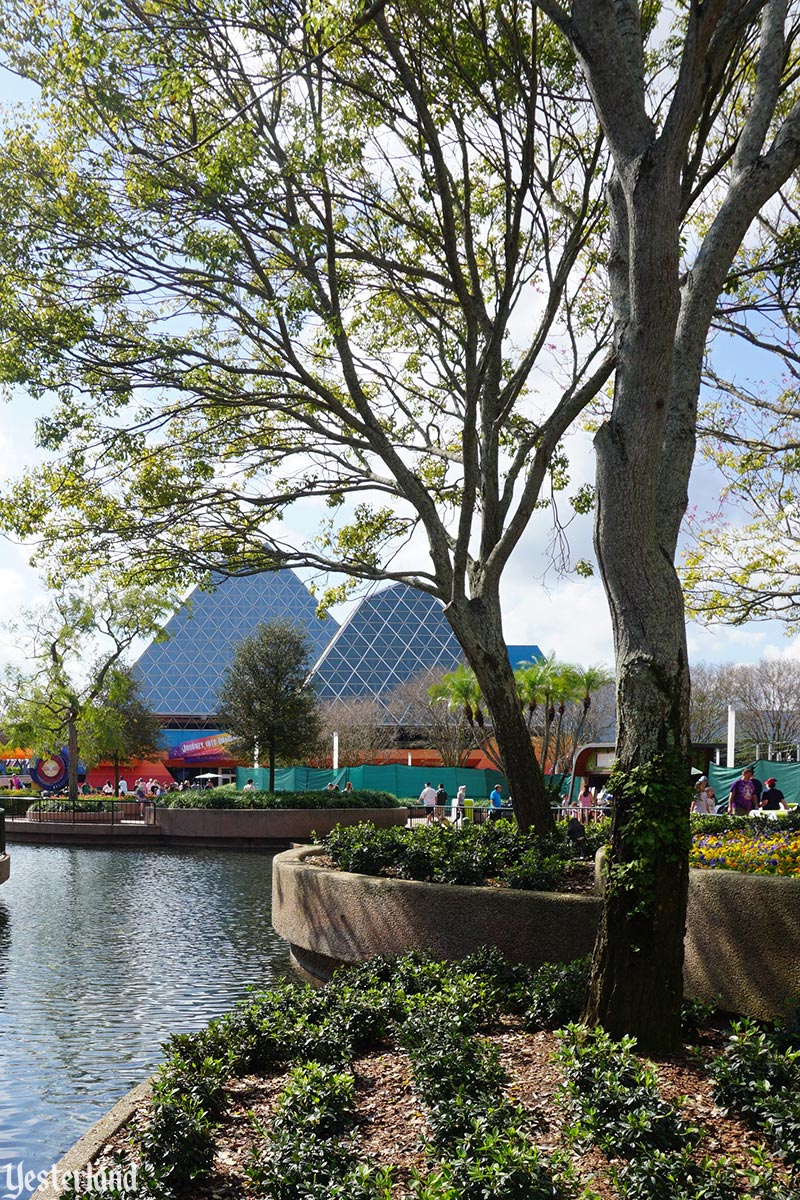 Image for then and now article about Epcot
