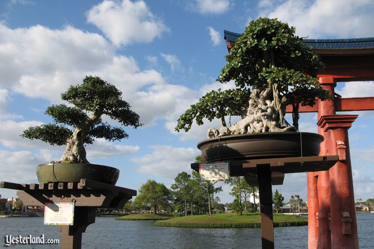 2011 Epcot Flower & Garden Festival