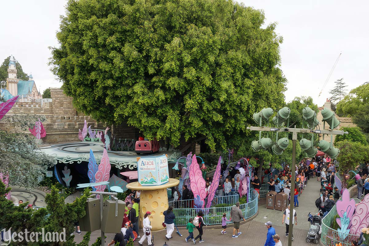 Alice in Wonderland at Disneyland