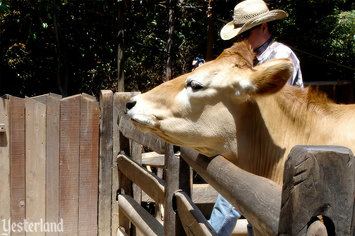 Little Patch of Heaven at Big Thunder Ranch, Disneyland