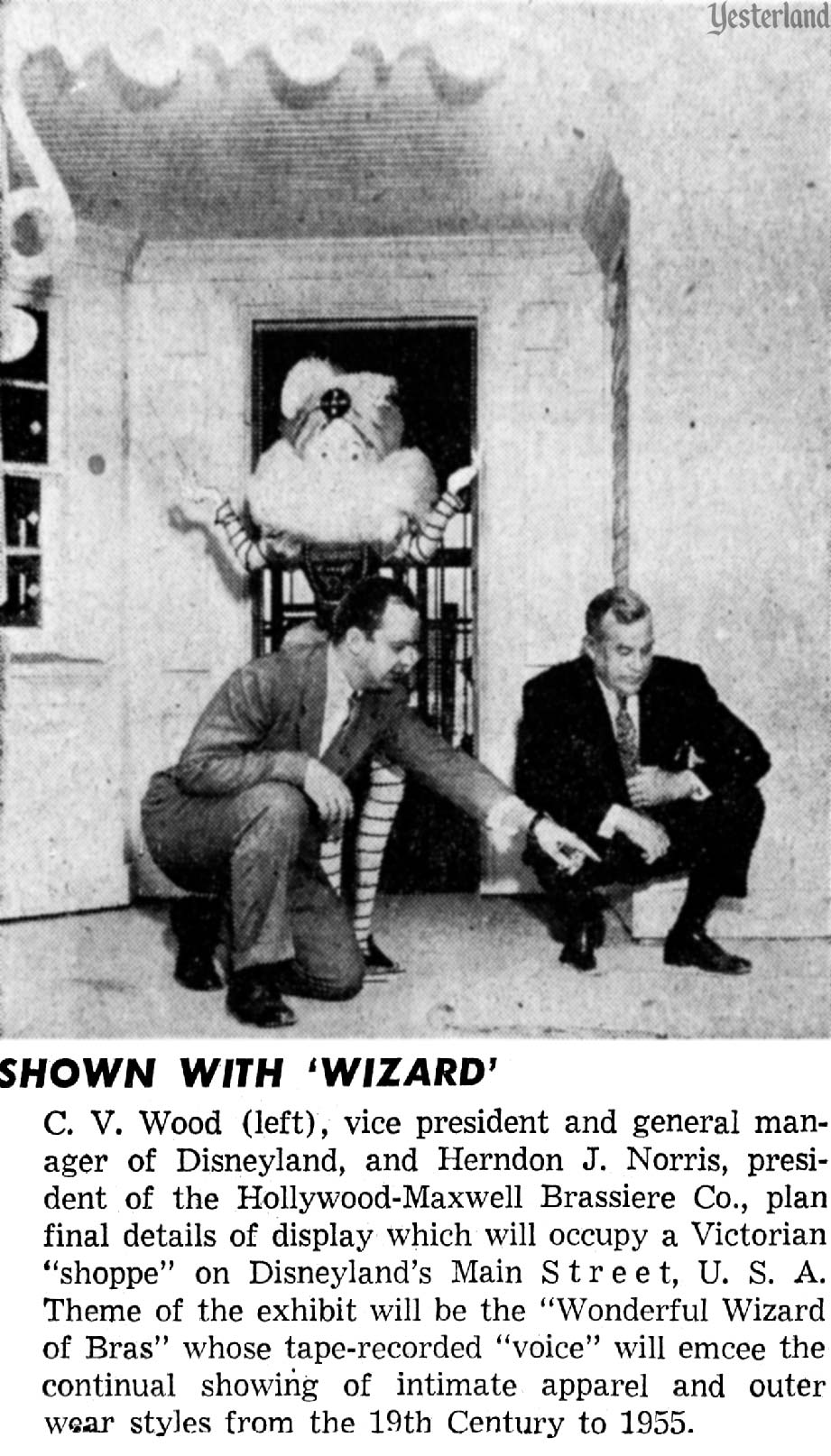 SHOWN WITH 'WIZARD' (Wizard of Bras at Disneyland)