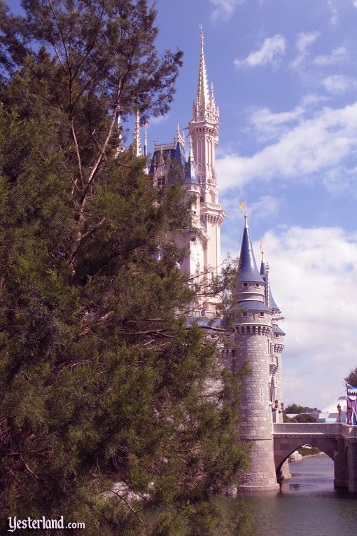 Image for then and now article about Magic Kingdom