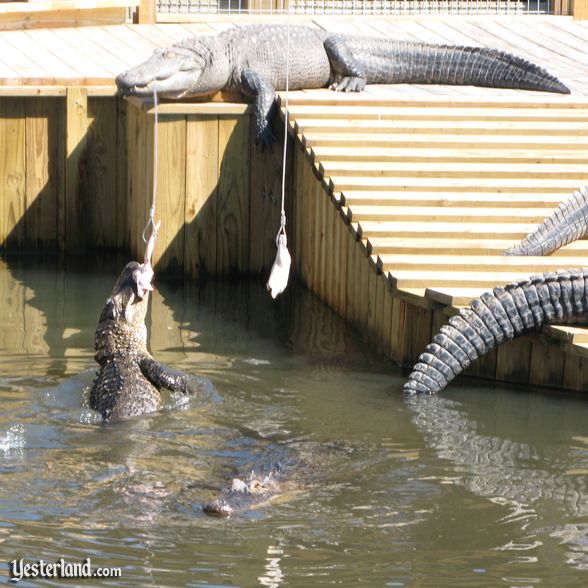 Gatorland