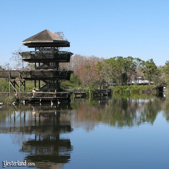 Gatorland