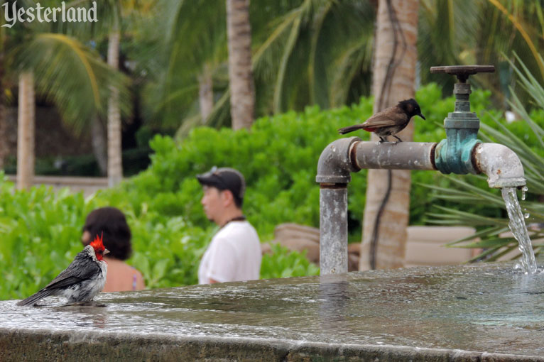 Yesterland: ‘AMA‘AMA at Aulani, A Disney Resort & Spa